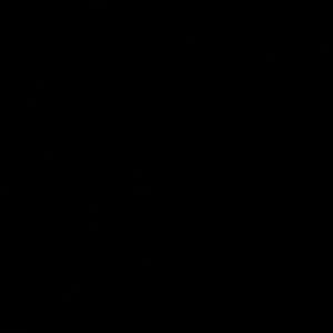 Meet your Posher, Lily